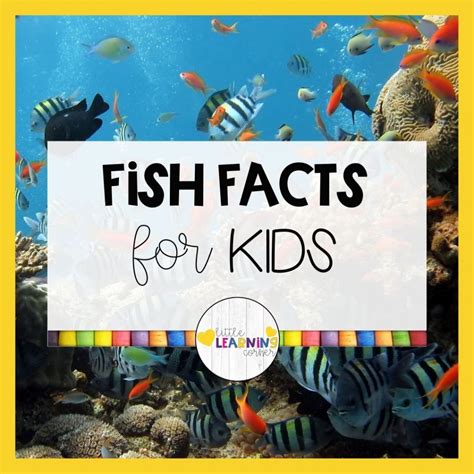 65 Fun Fish Facts for Kids .